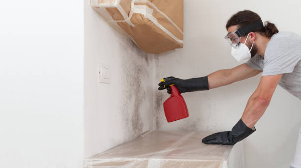 Professional Attic Mold Remediation technician working in Burnt Store Marina, FL