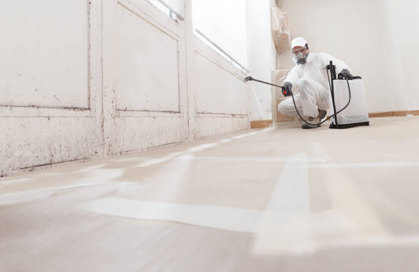 24/7 Emergency Attic Mold Remediation experts in Burnt Store Marina, FL